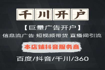 百度竞价广告投放全解析：成功案例揭秘